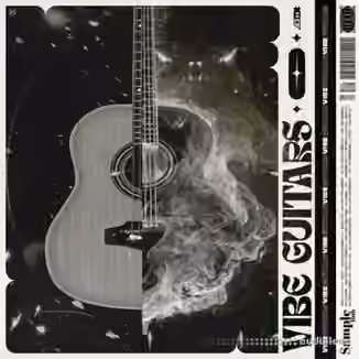 Sample Hub Vibe Guitars 3 [WAV]