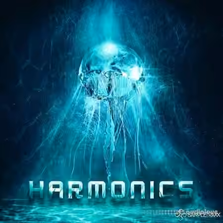 SampleTraxx Harmonics v1.1 [KONTAKT]