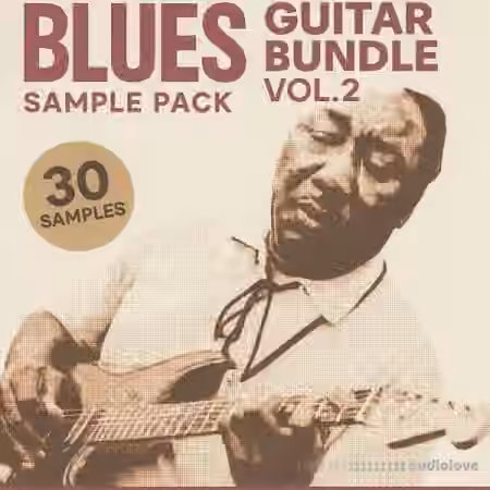 Soul Chemist Blues Guitar Bundle Vol.2 [WAV]