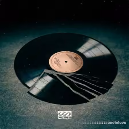 Soul Surplus Broken Vinyl [WAV]