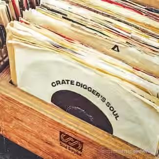 Soul Surplus Crate Diggers Soul [WAV]