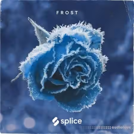 Splice Originals Frost February RnB [WAV]