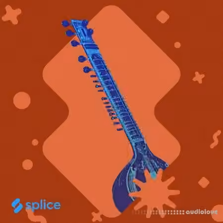 Splice Originals Indian Roots Vol.2 [WAV]