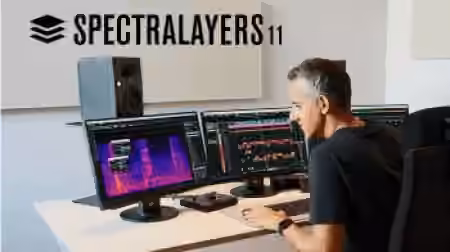Steinberg SpectraLayers Pro 11 v11.0.70 [WiN]