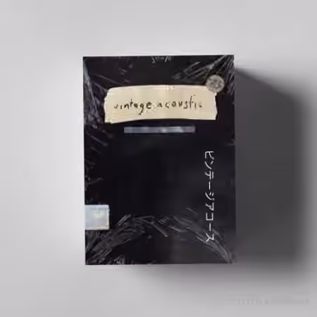 Stoopid Lou Vintage Guitar Sampler Instrument [WAV]