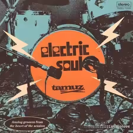 Tamuz Electric Soul A Soulquarian-Inspired Sample Pack [WAV]