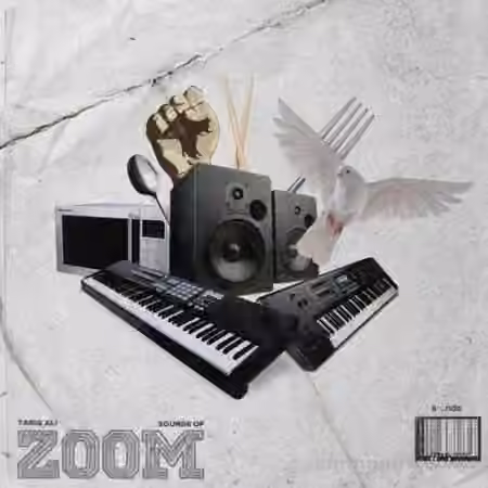 Tariq Ali Sounds Of Zoom [WAV]