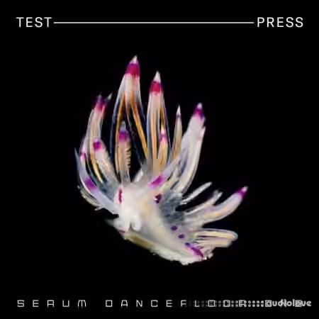 Test Press Serum Dancefloor DnB [WAV, MiDi, Synth Presets]