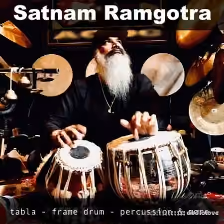 The Loop Loft Satnam Ramgotra Vol.1 [WAV]