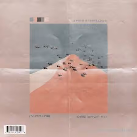 The44thfloor In Color (One Shot Kit) [WAV]