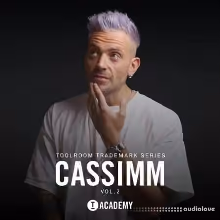 Toolroom CASSIMM Vol.2 Trademark Series [WAV]