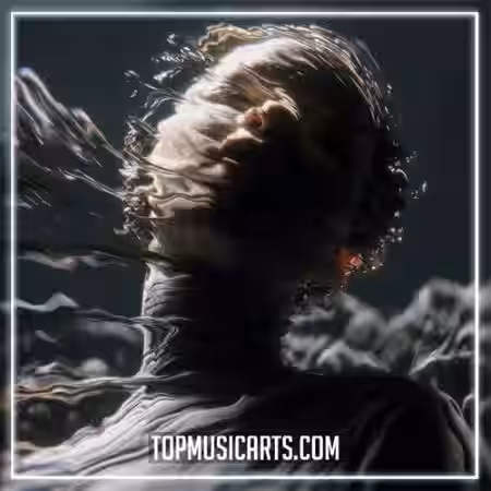 Top Music Arts Tiësto and Mathame Everlight Ableton Remake (Trance) [DAW Templates]