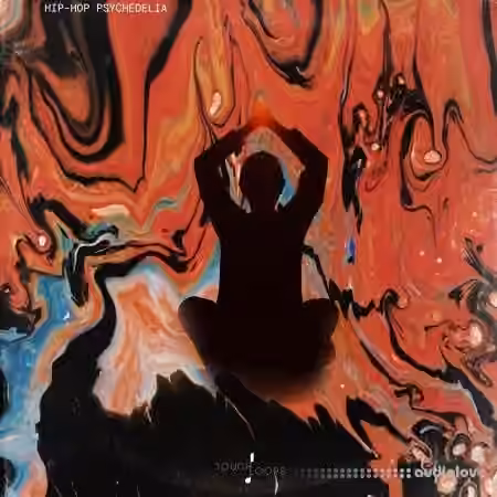 Touch Loops Hip-Hop Psychedelia [WAV]