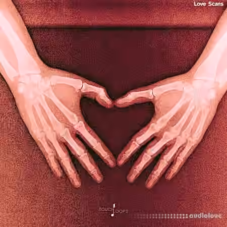 Touch Loops Love Scans [WAV]