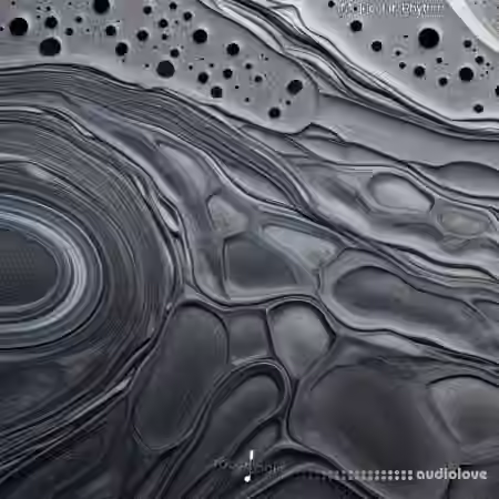 Touch Loops Molecular Rhythms [WAV]