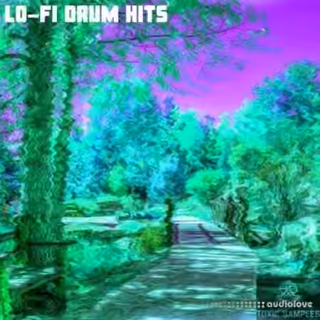 Toxic Samples LO FI Drum Hits [WAV]