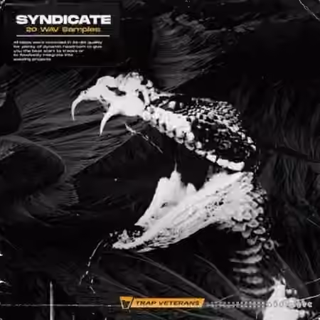 Trap Veterans Syndicate [WAV]