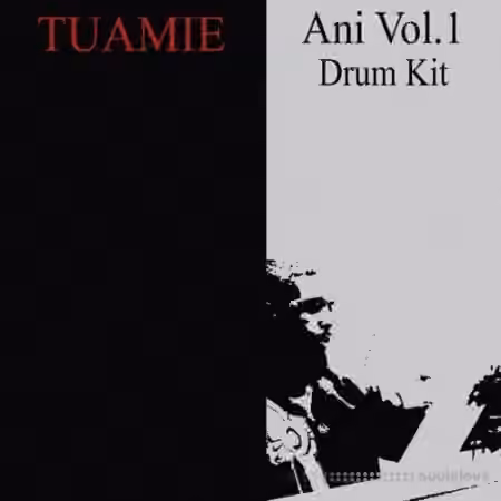 TUAMIE Ani Vol.1 Drum Kit [WAV]