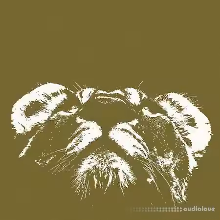Two Track Sound Dub Ballistics [WAV]