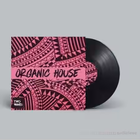 Two Waves Organic House [WAV, MiDi]