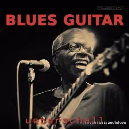 Ueberschall Blues Guitar [Elastik]