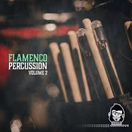Vanilla Groove Studios Flamenco Percussion Vol.2 [WAV]