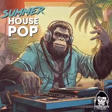 Vanilla Groove Studios Summer Pop House Vol 1 [WAV]