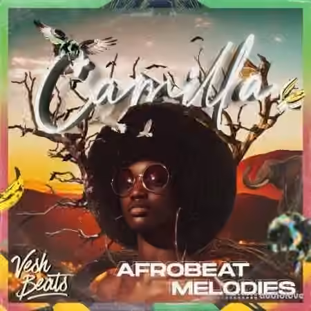 VeshBeats New AfroBeat Melodies [WAV]
