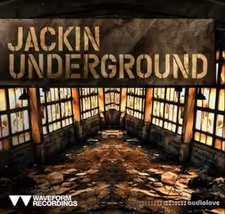 Waveform Recordings Jackin Underground [WAV]