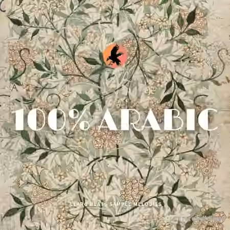 WAVS Claro Beats 100% Arabic [WAV]