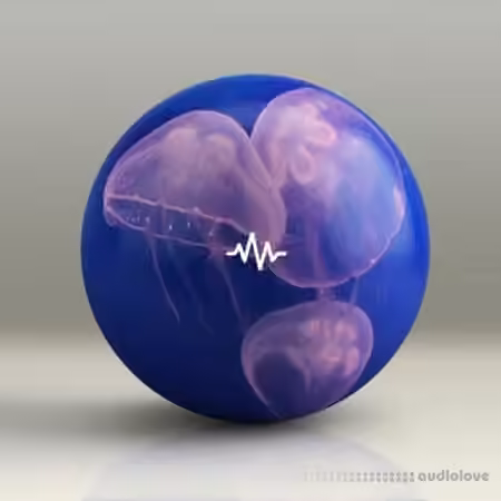 WavSupply Manso JellyFish (Dancehall Drum Kit) [WAV]
