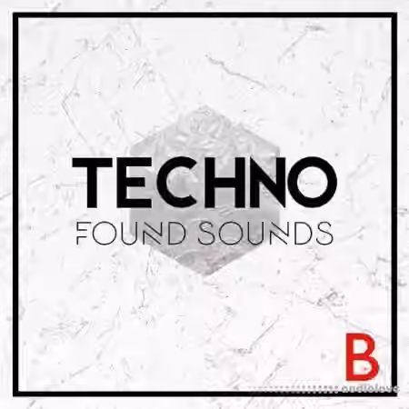 Whitenoise Records Techno Found Sounds B [WAV]