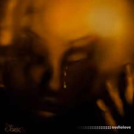 whylunar Tears Drumkit [WAV, Synth Presets]